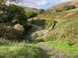 Photo 1- click for photo gallery